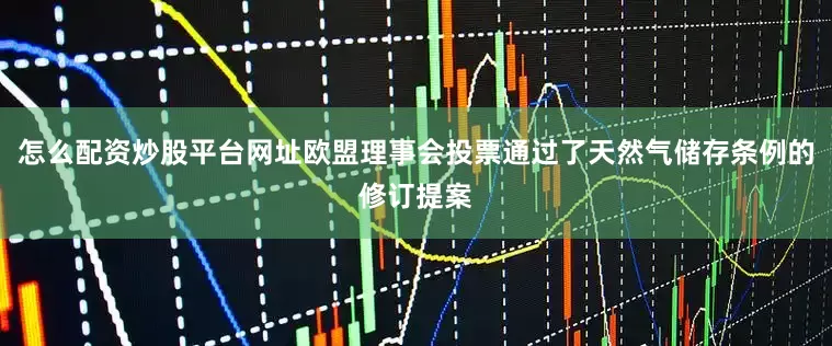 怎么配资炒股平台网址欧盟理事会投票通过了天然气储存条例的修订提案