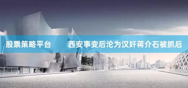 股票策略平台        西安事变后沦为汉奸蒋介石被抓后