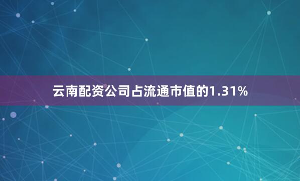 云南配资公司占流通市值的1.31%