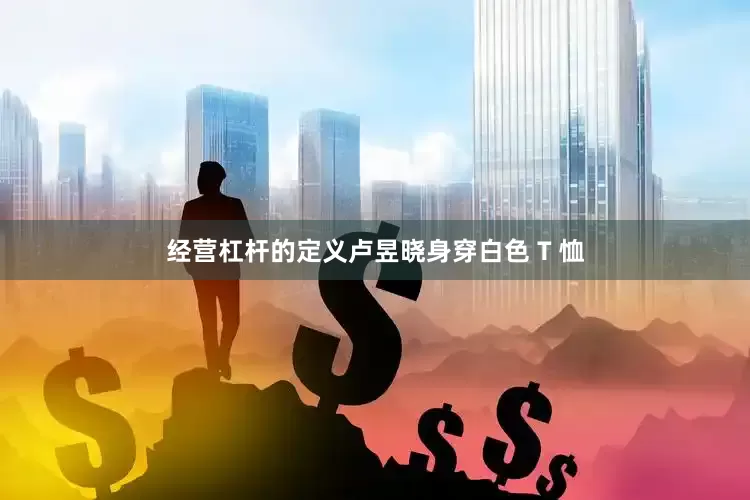 经营杠杆的定义卢昱晓身穿白色 T 恤